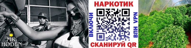 Названия наркотиков Бор Галлюциногенные грибы  Меф  Амфетамин  Гашиш  Бошки Шишки 