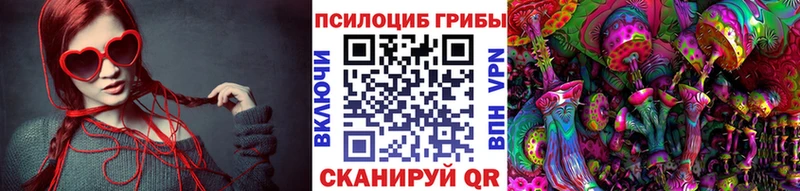 Галлюциногенные грибы Psilocybe  Бор 