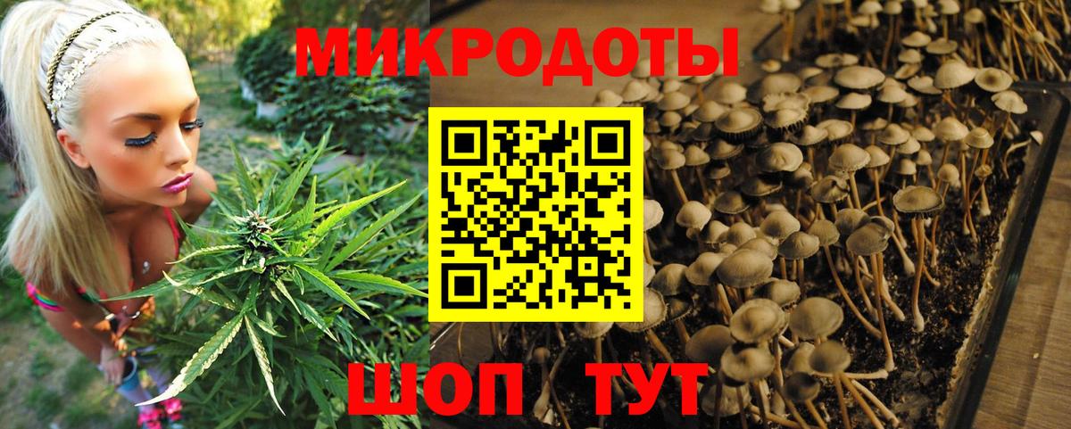 Псилоцибиновые грибы MAGIC MUSHROOMS Бор