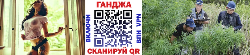 MEGA вход  Бор  Бошки Шишки планчик 